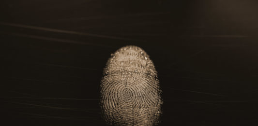 Día de la Protección y Privacidad de Datos.