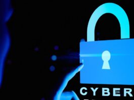 Seguridad del comercio electrónico: cómo proteger su negocio y sus clientes